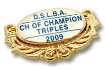 Scroll Brooch Badge - SB6